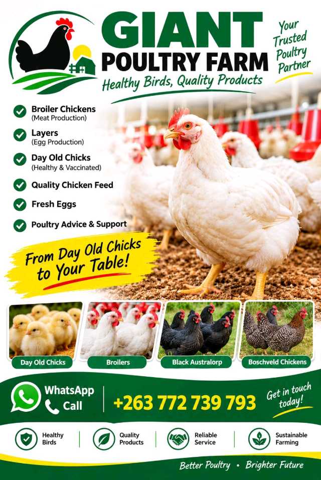 Giant Poultry Farm